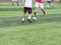 蔡少芬,张晋夫妇喜,迎长女十岁,OD体育官网,OD体育平台,OD体育链接,OD体育官方