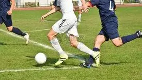 王力宏企业全面控股新科贸企业，资金运作引人关注