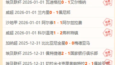 德尔夫盛赞尼科无限潜力，哈兰德领袖风采渐露